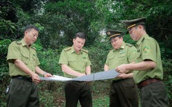 Thái Nguyên: Tăng cường công tác quản lý, bảo vệ rừng trong năm 2023