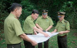 Thái Nguyên: Làm tốt công tác tuyên truyền về chính sách dịch vụ môi trường rừng