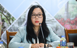 Doanh nghiệp Việt cần làm gì để đối phó với các vụ "kiện chống lẩn tránh thuế" đang gia tăng?