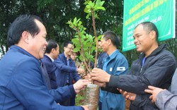 Loại cây cho quả giòn, ngọt, dân trồng cả trăm ha thành cây làm giàu của xã này ở Nghệ An