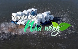 Chuyển động Nhà nông 2/12: Xuất khẩu cá tra dần phục hồi từ quý 4 nhưng nguồn cung sẽ thiếu hụt