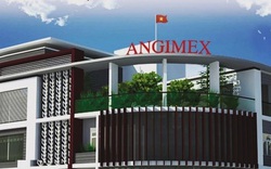 Angimex (AGM) chuyển nhượng 21% vốn tại Công ty con mảng bán mô tô xe máy