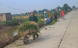 Trước thềm Đại hội VIII HNDVN: Chi Hội trưởng nông dân ở Ninh Bình nhận tin vui