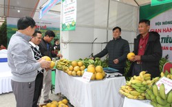 28 tỉnh, thành tham gia tuần lễ trưng bày, quảng bá, giới thiệu sản phẩm tiêu biểu tại Thái Nguyên