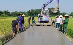 Tuyên Quang: Nhiều cách làm hay, sáng tạo, đột phá của hội viên nông dân trong xây dựng nông thôn mới