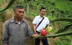 Hoàng Su Phì (Hà Giang): Để nông dân thực sự là chủ thể xây dựng nông thôn mới