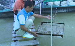 Thái Bình: Tiếp tục tăng trưởng toàn diện lĩnh vực thủy sản