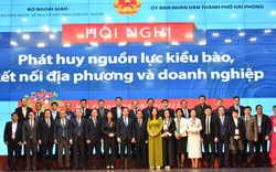 Hải Phòng: Kiều bào kết nối với các địa phương và doanh nghiệp tìm cơ hội hợp tác