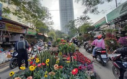 Hà Nội mở 83 chợ hoa Tết 2024