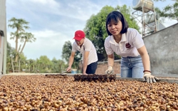 Trước thềm Hội nghị Thủ tướng đối thoại với nông dân năm 2023: Thị trường và vật tư đầu vào vẫn được quan tâm