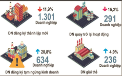 Lâm Đồng: Hơn 600 doanh nghiệp tạm ngưng kinh doanh, vốn FDI giảm tốc trong quý IV