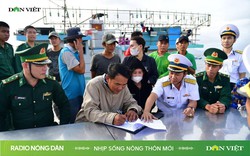 Nhịp sống Nông thôn mới ngày 04/12/2023