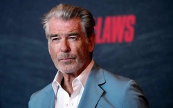 Tài tử Pierce Brosnan phải hầu tòa vì tham quan khu vực cấm