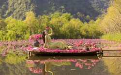 Xốn xang mùa hoa súng tô hồng suối Yến chùa Hương