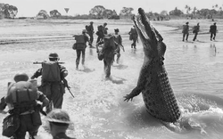 Clip: Thảm kịch 1.000 lính phát xít Nhật bị "ăn tươi nuốt sống" trong khu đầm lầy ở Myanmar trong Thế chiến 2