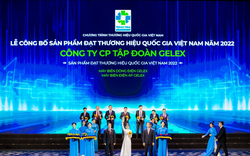 IR Awards 2023: GELEX, VIGLACERA, CADIVI thuộc TOP các doanh nghiệp niêm yết hoàn thành tốt nghĩa vụ công bố thông tin năm 2023