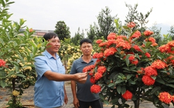 NTM Hà Giang: Phát triển toàn diện, Mỹ Tân hướng tới thôn NTM kiểu mẫu