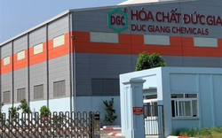 Hóa chất Đức Giang (DGC) sáp nhập 2 công ty con