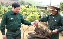 CCB huyện Yên Châu thi đua phát triển kinh tế, làm giàu chính đáng