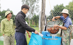 Dân một xã ở Nam Định làm nghề "canh trì" mà nhà nào cũng giàu lên