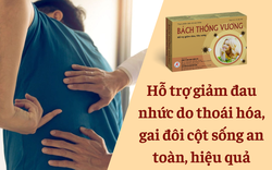 Bách Thống Vương - Hỗ trợ giảm đau do thoái hóa, gai đôi cột sống an toàn, hiệu quả