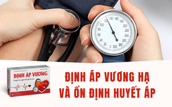 Định Áp Vương - Giải pháp cho người huyết áp cao, huyết áp không ổn định