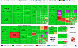 VN-Index tăng hơn 10 điểm, hai mã chứng khoán HAG và LDG gây ấn tượng