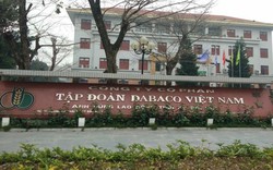 Dabaco Việt Nam bán 100% vốn tại công ty lợn giống ở Hà Tĩnh, kinh doanh "lao dốc" khi lợi nhuận giảm tới 94%