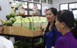"Thủ phủ" cây ăn quả ở Bình Định chọn "khu đất đẹp" trưng bày sản phẩm nông nghiệp chủ lực
