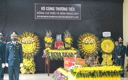 Chậu hoa cúc do chàng rể phi công Trần Ngọc Duy mua tặng nhà vợ ở Ninh Thuận vẫn xanh tươi 