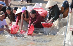 Nghệ An: Phóng sinh hơn 10 tấn cá xuống sông Lam