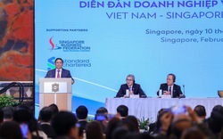 Doanh nghiệp Singapore: Việt Nam là ngôi sao đang lên