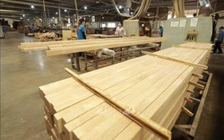 Ngành gỗ đẩy mạnh xúc tiến thương mại, tìm kiếm khách hàng