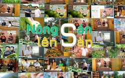 NÔNG SẢN LÊN SÀN: 1 năm đồng hành cùng nông dân nâng tầm giá trị nông sản Việt 