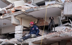 23.700 người thiệt mạng trong trận động đất Thổ Nhĩ Kỳ - Syria, các nỗ lực cứu hộ tiếp tục triển khai