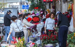 Khách không còn chi bạo tay cho hoa Valentine