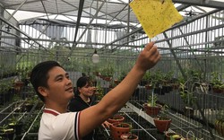Một "soái ca làng" ở Lâm Đồng mở mày mở mặt nhờ trồng lan rừng, nắm trong tay cơ ngơi đáng giá