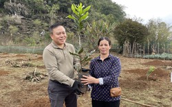 Cây giống xanh hướng tới cuộc sống tươi đẹp cho nông dân nghèo Lạng Sơn
