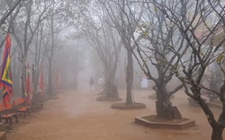 Vùng đất với ngọn núi linh thiêng ở Thanh Hóa có những cây cổ thụ huyền bí chốn Am Tiên