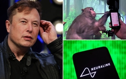 Neuralink của Elon Musk bị điều tra vì có thể vận chuyển phần cứng bị ô nhiễm không an toàn