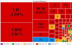 Nhóm cổ phiếu bất động sản gây áp lực, VN-Index "bốc hơi" gần 10 điểm