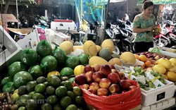 Hà Nội: Giá hoa quả, trái cây 'hạ nhiệt' sau Rằm tháng Giêng 