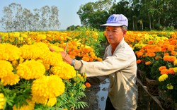 Nông thôn mới Kiên Giang, Hội Nông dân giúp nông dân phát triển kinh tế, tăng thu nhập, giảm nghèo