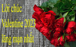 99 lời chúc Valentine 2023 mới nhất, lãng mạn nhất dành cho những người đang yêu và sắp yêu
