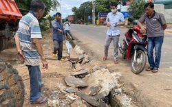 Doanh nghiệp "đấu đâu trúng đó" trúng loạt công trình quy mô lớn ở Đắk Lắk