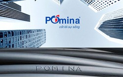 Thép Pomina (POM) thay "ghế" chủ tịch