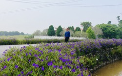 Nông thôn mới Ứng Hòa: Đường làng đẹp như phim, lại có khu vui chơi như công viên, ai cũng đánh giá hài lòng