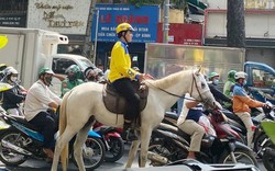 Xử phạt người mặc áo của hãng xe công nghệ cưỡi ngựa trên đường phố Sài Gòn