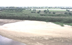 Toàn cảnh mỏ cát đấu giá trúng 380 tỷ đồng trên sông Trà Khúc 