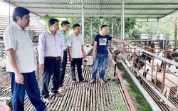 Nông dân Bắc Giang liên kết nuôi dê, tăng thu nhập từ nguồn vốn Quỹ HTND
